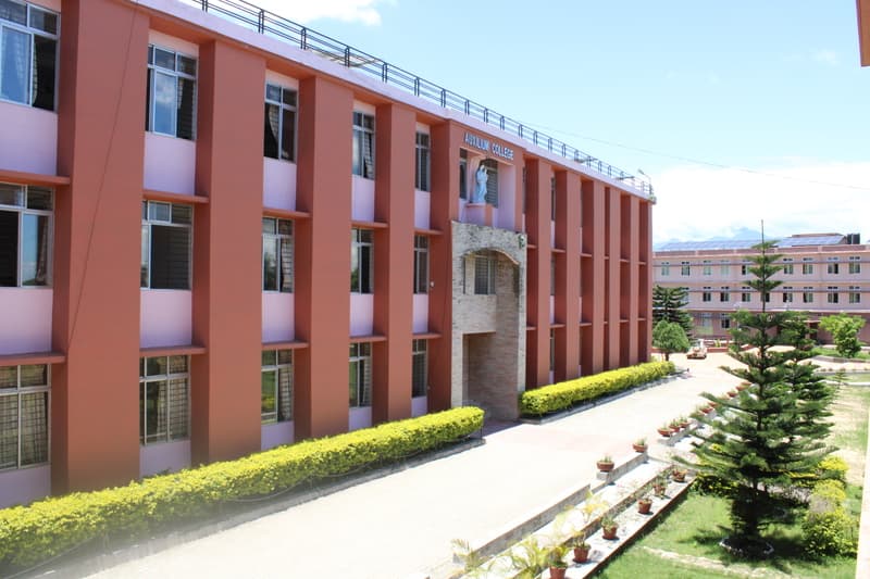 Auxilium College Banner